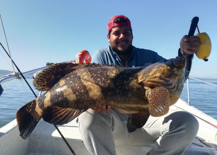 Fishing Panama grouper