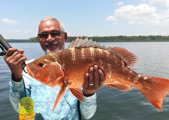 Panama Fishing Red Snapper